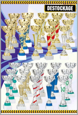 Lot de 30 Coupes : 2022-716