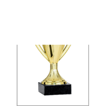 picture_320020_343848