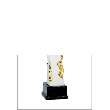 picture_320453_343865