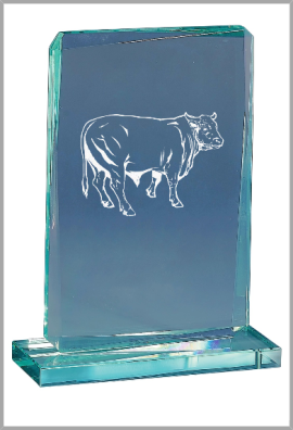 Trophée Verre Personnalisé 169-21-CLI