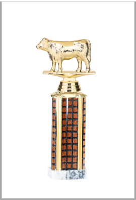 Trophée Personnalisé Figurine 140-51-D