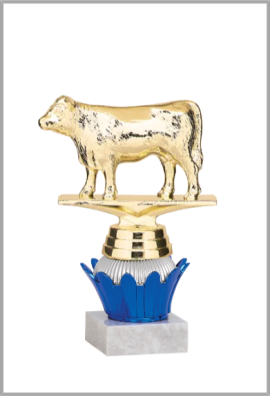 Trophée Personnalisé Figurine 143-02-D
