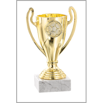 picture_320017_343887