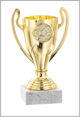 picture_320017_343920