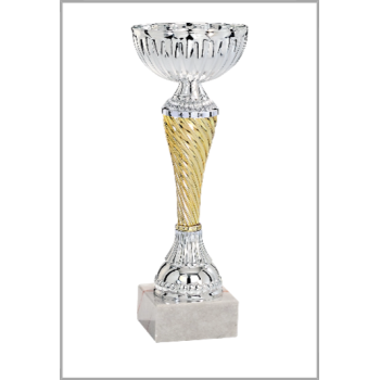 picture_320061_343931