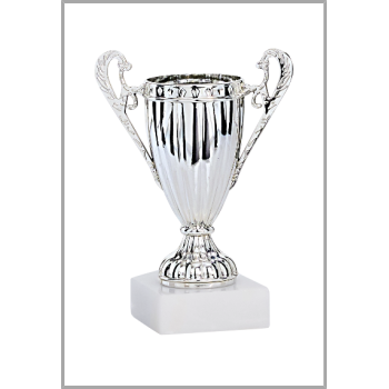 picture_320024_343954