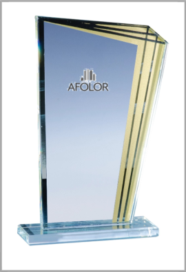 Trophée Verre Personnalisé 172-43-LO