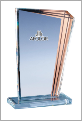 Trophée Verre Personnalisé 172-41-LO