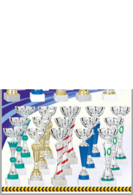 Lot de 30 Coupes : 2022-816