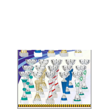 picture_320011_343981