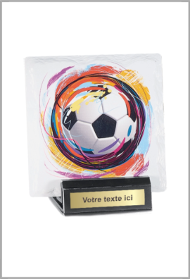 Trophée Football 45102