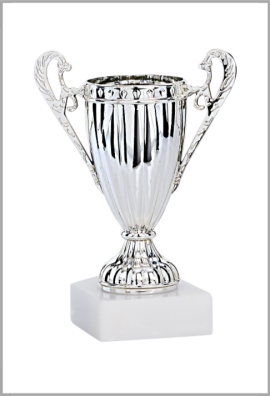 picture_320024_343998