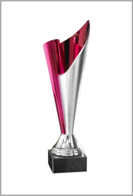 picture_320044_344009