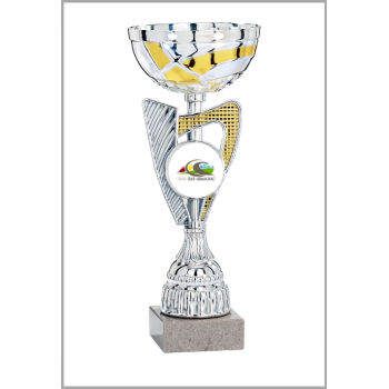 picture_320105_344012