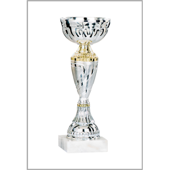 picture_320063_344024