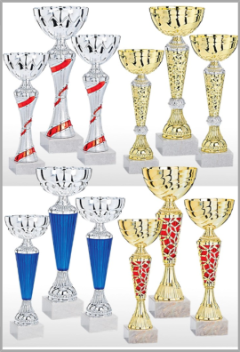 Lot de 12 Coupes : 2025-5