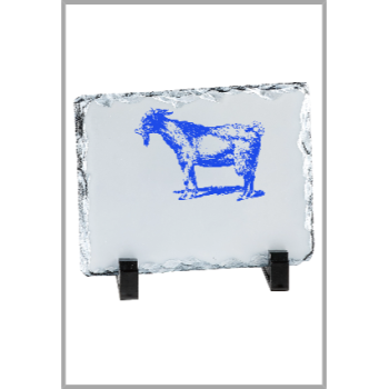 picture_300023_344031