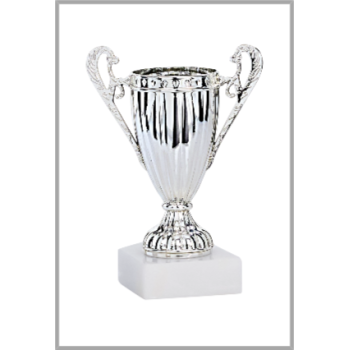 picture_320024_344032