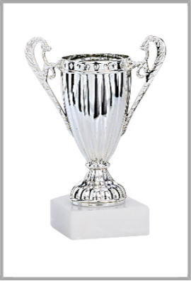 picture_320024_344033