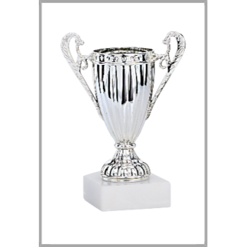 picture_320024_344033