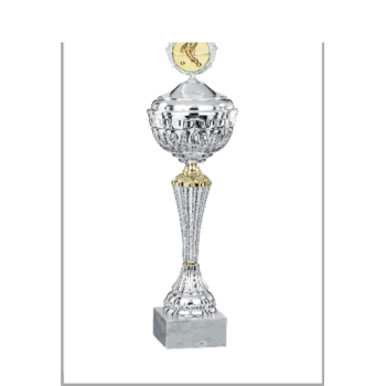 picture_320093_344055