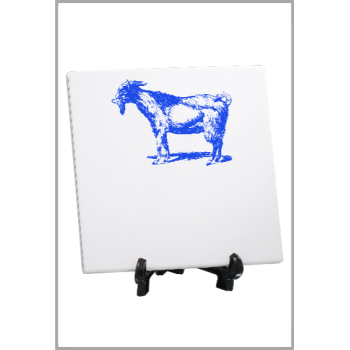 picture_300154_344077