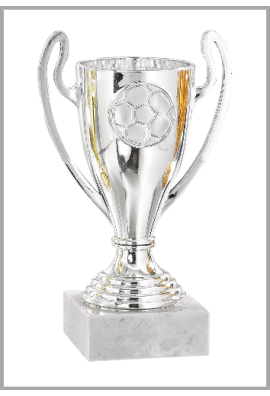 Trophée Football 0941