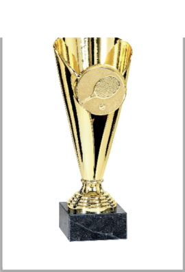 picture_320021_344087