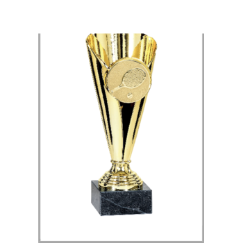 picture_320021_344087