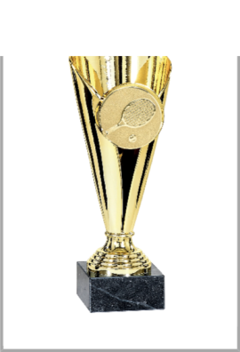 picture_320021_344088