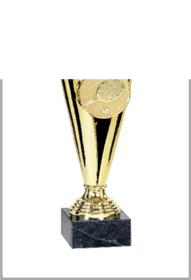 picture_320021_344094