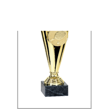 picture_320021_344094