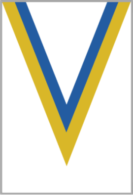 Ruban Médaille  Jaune/Bleu  : 6036