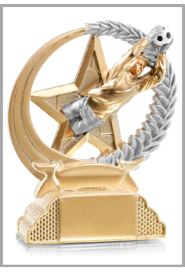 Trophée Football31316