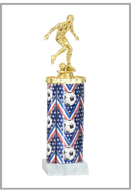 Trophée Football 86-31