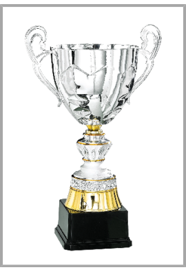 Coupe Prestige Métal : 6026