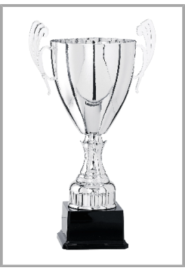 Coupe Prestige Métal : 5821