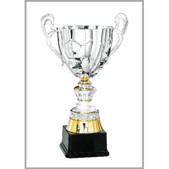 picture_320392_344127