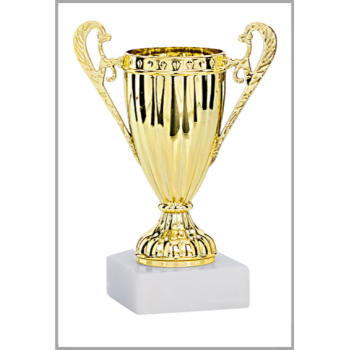 picture_320014_344129