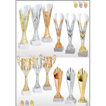 picture_320003_344163