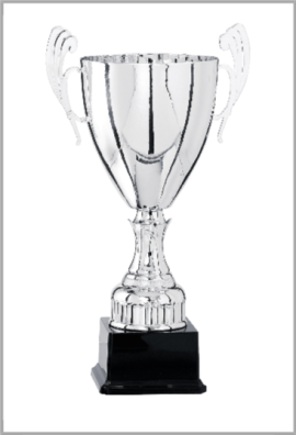 picture_320384_344175