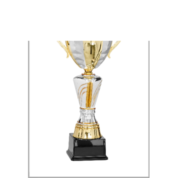 picture_320359_344176