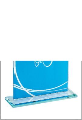 Trophée Verre Personnalisé 164-11DE-CLI