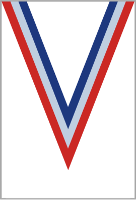 Ruban Médaille  Bleu/Blanc/Rouge  : 6021