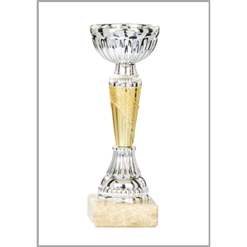 picture_320059_344190