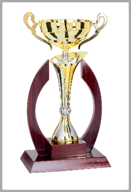 Coupe Prestige Bois et Métal : 5931