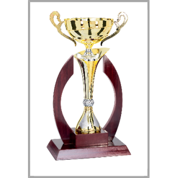 picture_320387_344192