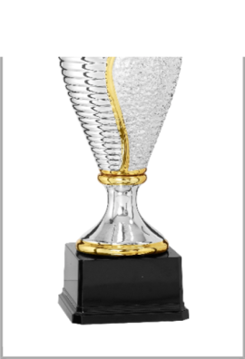 picture_320351_344206