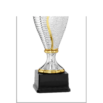 picture_320351_344206