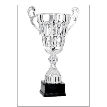 picture_320431_344207